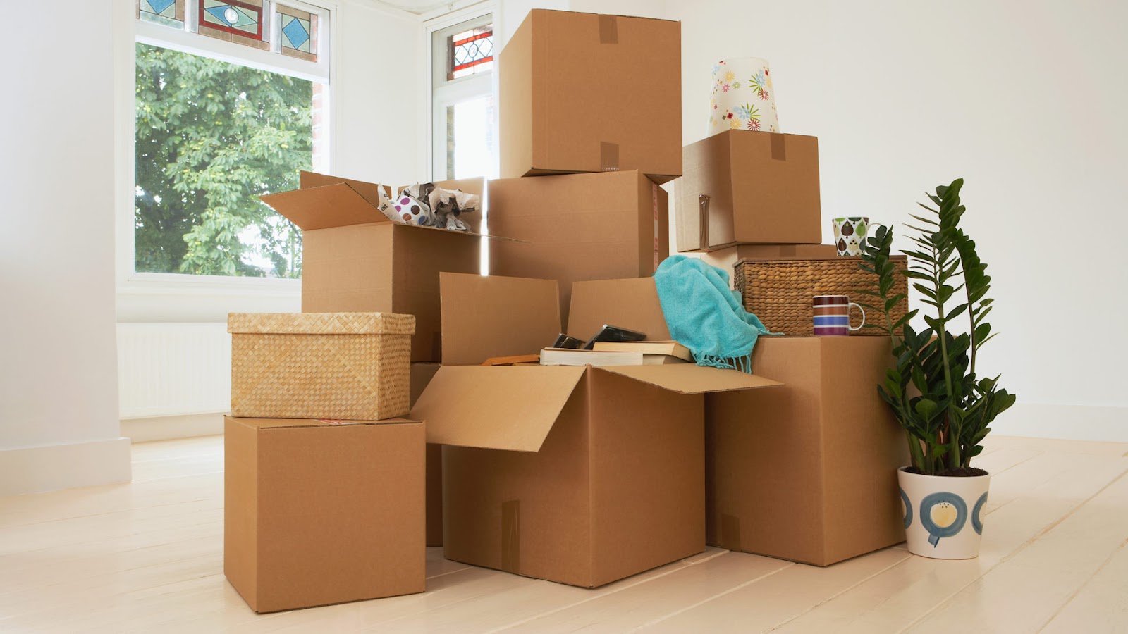 Choosing The Right Affordable Removalists: What To Look For And How To Decide