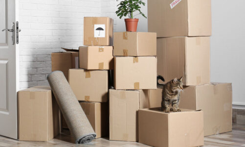 The Ultimate Guide to Getting House Removal Quotes Online
