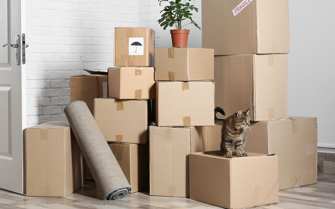 The Ultimate Guide to Getting House Removal Quotes Online