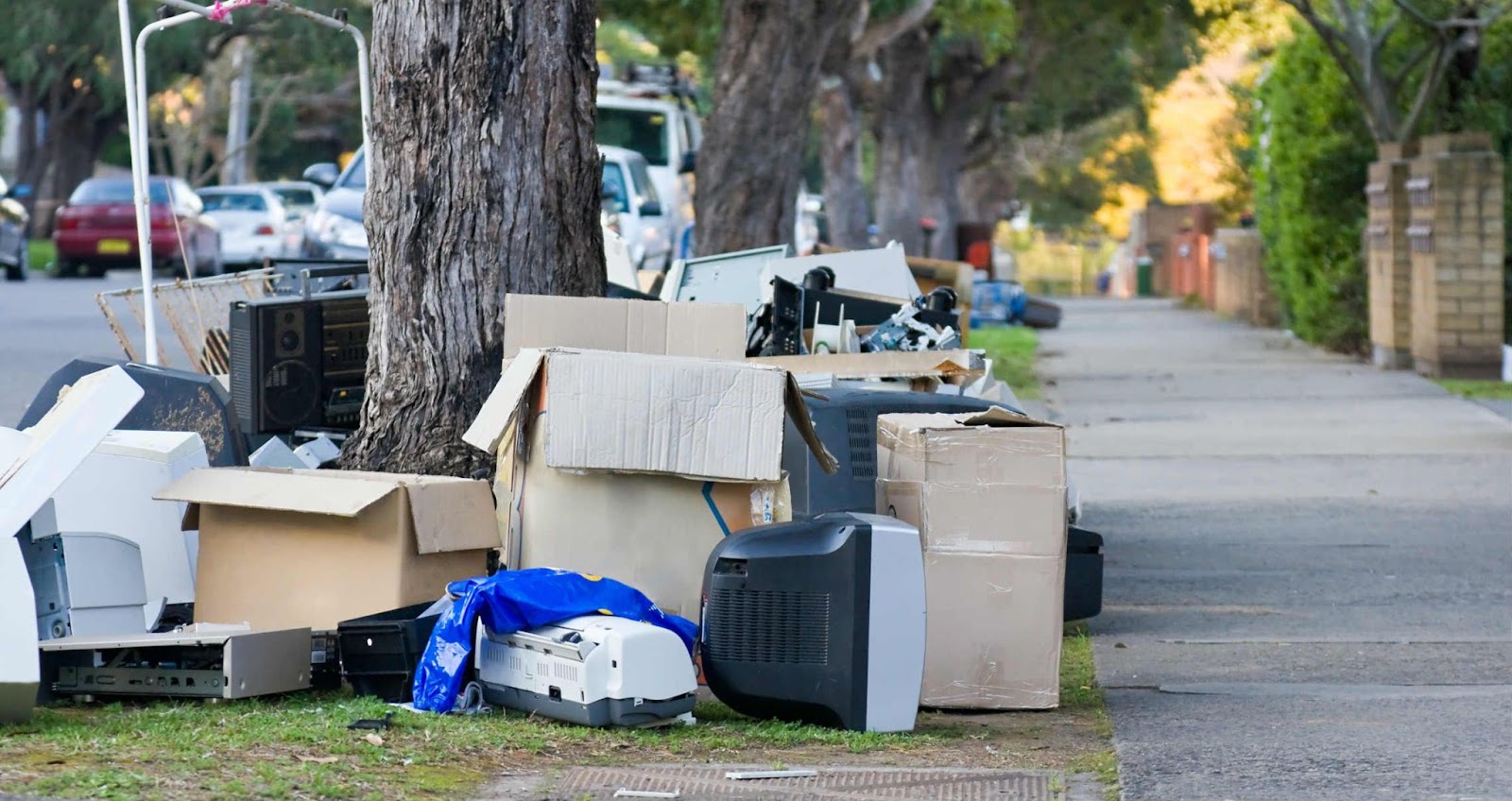 Removalists Near Me